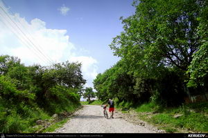 Trasee cu bicicleta MTB XC - Traseu MTB Curtea de Arges - Valea Danului - Cepari - Valea Babei - Goranu - Calimanesti de Andrei Vocurek
