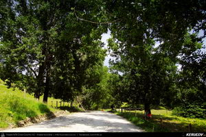 Trasee cu bicicleta MTB XC - Traseu MTB Curtea de Arges - Valea Danului - Cepari - Valea Babei - Goranu - Calimanesti de Andrei Vocurek