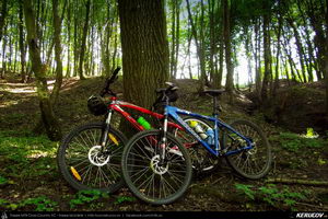 Trasee cu bicicleta MTB XC - Traseu MTB Curtea de Arges - Valea Danului - Cepari - Valea Babei - Goranu - Calimanesti de Andrei Vocurek