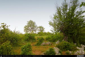 Trasee cu bicicleta MTB XC - Traseu MTB Orsova - Eselnita - Dubova - Svinita - Berzasca - Coronini (Clisura Dunarii / Portile de Fier - Cazanele Dunarii) de Andrei Vocurek