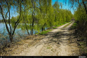 Trasee cu bicicleta MTB XC - Traseu MTB Bucuresti - Branesti - Islaz - Belciugatele - Candeasca (Cu bicicleta la tara - Balta Belciugatele) de Andrei Vocurek