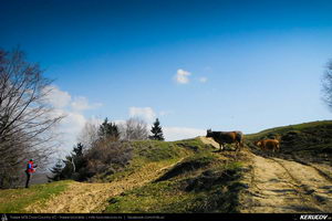Trasee cu bicicleta MTB XC - Traseu MTB Campina - Telega - Melicesti - Brebu - Valea Doftanei - Campina de Andrei Vocurek
