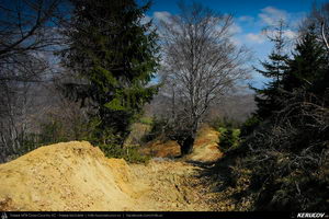 Trasee cu bicicleta MTB XC - Traseu MTB Campina - Telega - Melicesti - Brebu - Valea Doftanei - Campina de Andrei Vocurek
