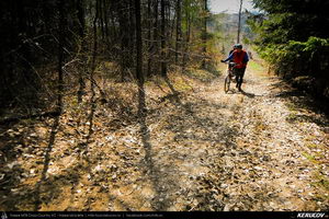 Trasee cu bicicleta MTB XC - Traseu MTB Campina - Telega - Melicesti - Brebu - Valea Doftanei - Campina de Andrei Vocurek