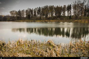 Trasee cu bicicleta MTB XC - Traseu MTB Campina - Telega - Melicesti - Brebu - Valea Doftanei - Campina de Andrei Vocurek