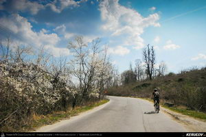 Trasee cu bicicleta MTB XC - Traseu MTB Campina - Telega - Melicesti - Brebu - Valea Doftanei - Campina de Andrei Vocurek