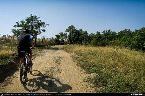 Trasee cu bicicleta MTB XC - Traseu MTB Campina Open MTB 2015: Platoul Muscel - Dealul Voila - Plaiu Campinei - Valea Oprii - Cornu - Platoul Muscel (concurs MTB) de Andrei Vocurek