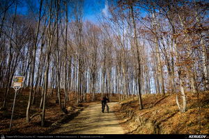 Trasee cu bicicleta MTB XC - Traseu MTB Fieni - Runcu - Raul Alb - Sipot - Vulcana Bai - Sotanga - Targoviste (Schitul Bunea si Padurea Vulcana) de Andrei Vocurek