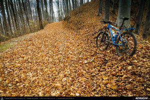 Trasee cu bicicleta MTB XC - Traseu MTB Fieni - Runcu - Raul Alb - Sipot - Vulcana Bai - Sotanga - Targoviste (Schitul Bunea si Padurea Vulcana) de Andrei Vocurek