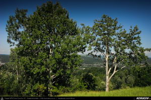 Trasee cu bicicleta MTB XC - Traseu MTB Floresti - Moreni - I.L. Caragiale - Ratoaia - Dobra - Titu (Micul Trianon - cazemata germana - Zimbraria Neagra Bucsani) de Andrei Vocurek