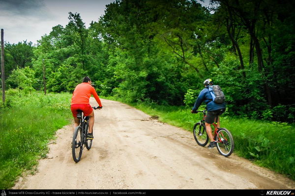 Trasee cu bicicleta MTB XC - Traseu MTB Gaesti - Slobozia - Glavacioc - Negrasi - Mozacu - Rascaeti - Gaesti (Manastirea Glavacioc si Poiana cu narcise Negrasi) de Andrei Vocurek