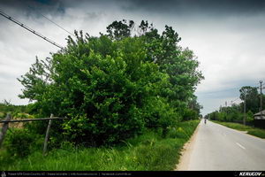 Trasee cu bicicleta MTB XC - Traseu MTB Gaesti - Slobozia - Glavacioc - Negrasi - Mozacu - Rascaeti - Gaesti (Manastirea Glavacioc si Poiana cu narcise Negrasi) de Andrei Vocurek