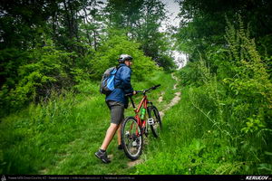 Trasee cu bicicleta MTB XC - Traseu MTB Gaesti - Slobozia - Glavacioc - Negrasi - Mozacu - Rascaeti - Gaesti (Manastirea Glavacioc si Poiana cu narcise Negrasi) de Andrei Vocurek