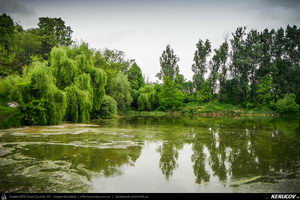 Trasee cu bicicleta MTB XC - Traseu MTB Gaesti - Slobozia - Glavacioc - Negrasi - Mozacu - Rascaeti - Gaesti (Manastirea Glavacioc si Poiana cu narcise Negrasi) de Andrei Vocurek