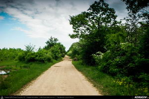 Trasee cu bicicleta MTB XC - Traseu MTB Gaesti - Slobozia - Glavacioc - Negrasi - Mozacu - Rascaeti - Gaesti (Manastirea Glavacioc si Poiana cu narcise Negrasi) de Andrei Vocurek