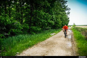 Trasee cu bicicleta MTB XC - Traseu MTB Gaesti - Slobozia - Glavacioc - Negrasi - Mozacu - Rascaeti - Gaesti (Manastirea Glavacioc si Poiana cu narcise Negrasi) de Andrei Vocurek