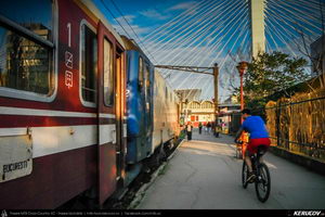 Trasee cu bicicleta MTB XC - Traseu MTB Gaesti - Slobozia - Glavacioc - Negrasi - Mozacu - Rascaeti - Gaesti (Manastirea Glavacioc si Poiana cu narcise Negrasi) de Andrei Vocurek