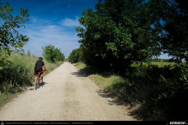 Trasee cu bicicleta MTB XC - Traseu MTB Lehliu Gara - Crasanii de Jos - Axintele - Horia - Fantana Doamnei - Lehliu Gara (Campia Baraganului, Piscul Crasani - cetatea dacica) de Andrei Vocurek
