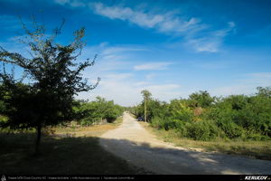 Trasee cu bicicleta MTB XC - Traseu MTB Lehliu Gara - Crasanii de Jos - Axintele - Horia - Fantana Doamnei - Lehliu Gara (Campia Baraganului, Piscul Crasani - cetatea dacica) de Andrei Vocurek