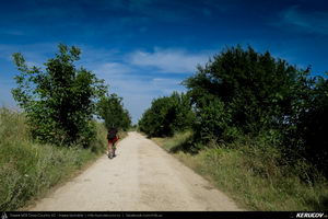 Trasee cu bicicleta MTB XC - Traseu MTB Lehliu Gara - Crasanii de Jos - Axintele - Horia - Fantana Doamnei - Lehliu Gara (Campia Baraganului, Piscul Crasani - cetatea dacica) de Andrei Vocurek