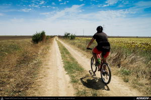 Trasee cu bicicleta MTB XC - Traseu MTB Lehliu Gara - Crasanii de Jos - Axintele - Horia - Fantana Doamnei - Lehliu Gara (Campia Baraganului, Piscul Crasani - cetatea dacica) de Andrei Vocurek