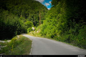 Trasee cu bicicleta MTB XC - Traseu MTB Muntii Latoritei: Gara Lotru - Brezoi - Valea lui Stan - Malaia - Ciungetu - Petrimanu (Lacul Bradisor - Lacul Malaia - Valea Latoritei - Lacul Petrimanu - Lacul Galbenu) de Andrei Vocurek
