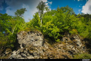 Trasee cu bicicleta MTB XC - Traseu MTB Muntii Latoritei: Gara Lotru - Brezoi - Valea lui Stan - Malaia - Ciungetu - Petrimanu (Lacul Bradisor - Lacul Malaia - Valea Latoritei - Lacul Petrimanu - Lacul Galbenu) de Andrei Vocurek