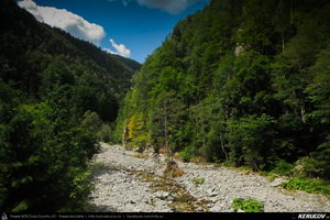 Trasee cu bicicleta MTB XC - Traseu MTB Muntii Latoritei: Gara Lotru - Brezoi - Valea lui Stan - Malaia - Ciungetu - Petrimanu (Lacul Bradisor - Lacul Malaia - Valea Latoritei - Lacul Petrimanu - Lacul Galbenu) de Andrei Vocurek