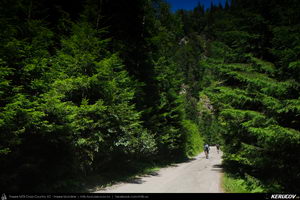 Trasee cu bicicleta MTB XC - Traseu MTB Muntii Latoritei: Gara Lotru - Brezoi - Valea lui Stan - Malaia - Ciungetu - Petrimanu (Lacul Bradisor - Lacul Malaia - Valea Latoritei - Lacul Petrimanu - Lacul Galbenu) de Andrei Vocurek