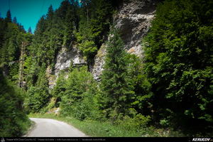 Trasee cu bicicleta MTB XC - Traseu MTB Muntii Latoritei: Gara Lotru - Brezoi - Valea lui Stan - Malaia - Ciungetu - Petrimanu (Lacul Bradisor - Lacul Malaia - Valea Latoritei - Lacul Petrimanu - Lacul Galbenu) de Andrei Vocurek