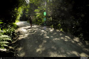 Trasee cu bicicleta MTB XC - Traseu MTB Muntii Latoritei: Gara Lotru - Brezoi - Valea lui Stan - Malaia - Ciungetu - Petrimanu (Lacul Bradisor - Lacul Malaia - Valea Latoritei - Lacul Petrimanu - Lacul Galbenu) de Andrei Vocurek