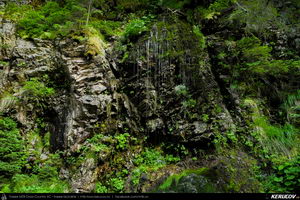 Trasee cu bicicleta MTB XC - Traseu MTB Muntii Latoritei: Gara Lotru - Brezoi - Valea lui Stan - Malaia - Ciungetu - Petrimanu (Lacul Bradisor - Lacul Malaia - Valea Latoritei - Lacul Petrimanu - Lacul Galbenu) de Andrei Vocurek