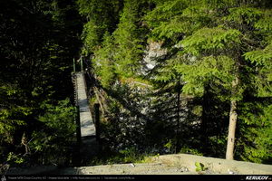 Trasee cu bicicleta MTB XC - Traseu MTB Muntii Latoritei: Gara Lotru - Brezoi - Valea lui Stan - Malaia - Ciungetu - Petrimanu (Lacul Bradisor - Lacul Malaia - Valea Latoritei - Lacul Petrimanu - Lacul Galbenu) de Andrei Vocurek