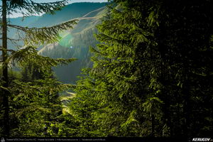 Trasee cu bicicleta MTB XC - Traseu MTB Muntii Latoritei: Gara Lotru - Brezoi - Valea lui Stan - Malaia - Ciungetu - Petrimanu (Lacul Bradisor - Lacul Malaia - Valea Latoritei - Lacul Petrimanu - Lacul Galbenu) de Andrei Vocurek