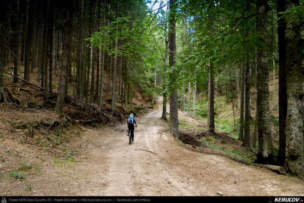 Traseu MTB Masivul Piatra Craiului: Zarnesti - Cabana Gura Raului - Prapastiile Zarnestilor - spre Cabana Curmatura (varianta familie, copil de 1 an) - KERUCOV .ro © 2007 - 2025 || #traseecubicicleta #mtb #ssp