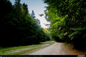 Trasee cu bicicleta MTB XC - Traseu MTB Masivul Piatra Craiului: Zarnesti - Cabana Gura Raului - Prapastiile Zarnestilor - spre Cabana Curmatura (varianta familie, copil de 1 an) de Andrei Vocurek
