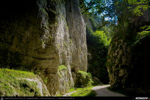 Trasee cu bicicleta MTB XC - Traseu MTB Masivul Piatra Craiului: Zarnesti - Cabana Gura Raului - Prapastiile Zarnestilor - spre Cabana Curmatura (varianta familie, copil de 1 an) de Andrei Vocurek