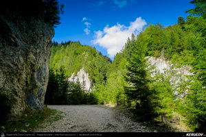 Trasee cu bicicleta MTB XC - Traseu MTB Masivul Piatra Craiului: Zarnesti - Cabana Gura Raului - Prapastiile Zarnestilor - spre Cabana Curmatura (varianta familie, copil de 1 an) de Andrei Vocurek