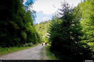 Trasee cu bicicleta MTB XC - Traseu MTB Masivul Piatra Craiului: Zarnesti - Cabana Gura Raului - Prapastiile Zarnestilor - spre Cabana Curmatura (varianta familie, copil de 1 an) de Andrei Vocurek