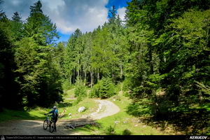 Trasee cu bicicleta MTB XC - Traseu MTB Masivul Piatra Craiului: Zarnesti - Cabana Gura Raului - Prapastiile Zarnestilor - spre Cabana Curmatura (varianta familie, copil de 1 an) de Andrei Vocurek