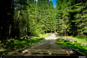 Trasee cu bicicleta MTB XC - Traseu MTB Masivul Piatra Craiului: Zarnesti - Cabana Gura Raului - Prapastiile Zarnestilor - spre Cabana Curmatura (varianta familie, copil de 1 an) de Andrei Vocurek