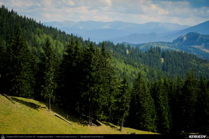 Trasee cu bicicleta MTB XC - Traseu MTB Masivul Piatra Craiului: Zarnesti - Cabana Gura Raului - Prapastiile Zarnestilor - spre Cabana Curmatura (varianta familie, copil de 1 an) de Andrei Vocurek