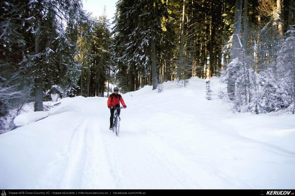 Trasee cu bicicleta MTB XC - Traseu MTB Predeal - Cabana Susai - Valea Limbaselului - Azuga de Andrei Vocurek