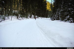 Trasee cu bicicleta MTB XC - Traseu MTB Predeal - Cabana Susai - Valea Limbaselului - Azuga de Andrei Vocurek