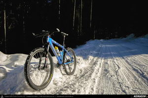 Trasee cu bicicleta MTB XC - Traseu MTB Predeal - Cabana Susai - Valea Limbaselului - Azuga de Andrei Vocurek