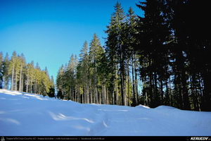 Trasee cu bicicleta MTB XC - Traseu MTB Predeal - Cabana Susai - Valea Limbaselului - Azuga de Andrei Vocurek