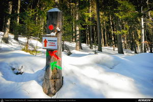 Trasee cu bicicleta MTB XC - Traseu MTB Predeal - Cabana Susai - Valea Limbaselului - Azuga de Andrei Vocurek