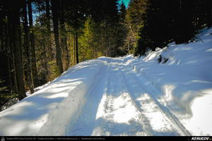 Trasee cu bicicleta MTB XC - Traseu MTB Predeal - Cabana Susai - Valea Limbaselului - Azuga de Andrei Vocurek