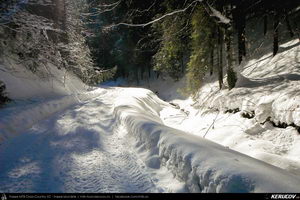 Trasee cu bicicleta MTB XC - Traseu MTB Predeal - Cabana Susai - Valea Limbaselului - Azuga de Andrei Vocurek