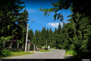 Trasee cu bicicleta MTB XC - Traseu MTB Muntii Postavaru: Predeal - Cabana Trei Brazi - Cabana Poiana Secuilor (varianta familie, copil de 1 an) de Andrei Vocurek
